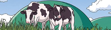 Kühe vor einem Biogas Kraftwerk